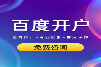 SEM竞价实战技巧，案例讲解与应用